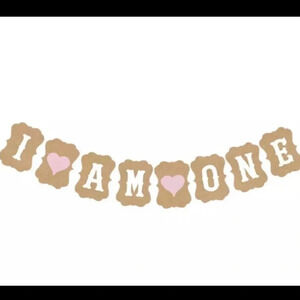 NEW Baby's 1st Birthday Banner bunting sign